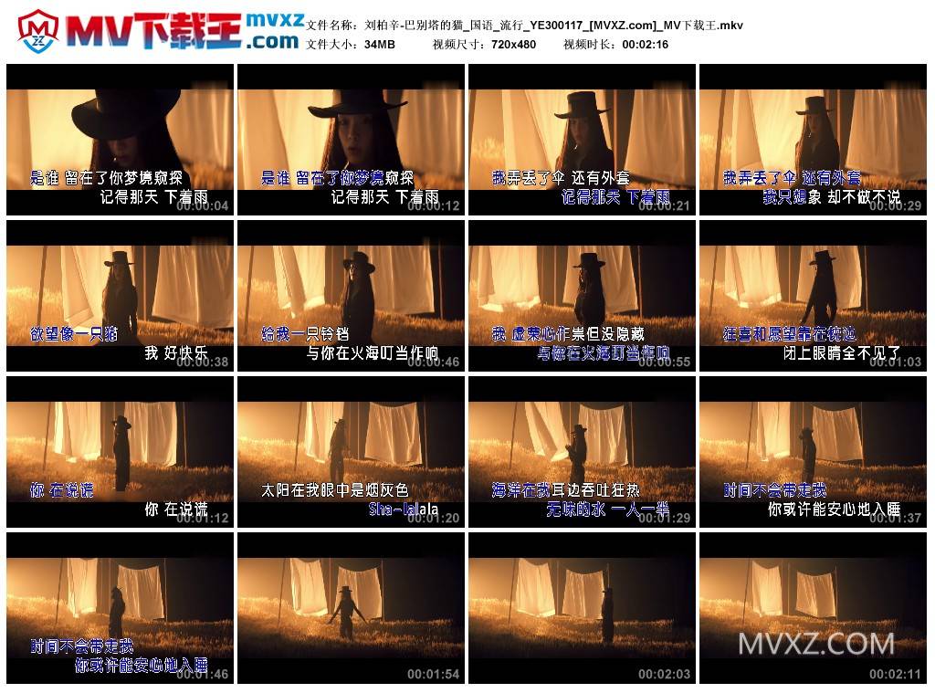 刘柏辛-巴别塔的猫_国语_流行_YE300117